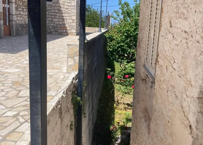 Au Son Des Cloches * 扎哈罗